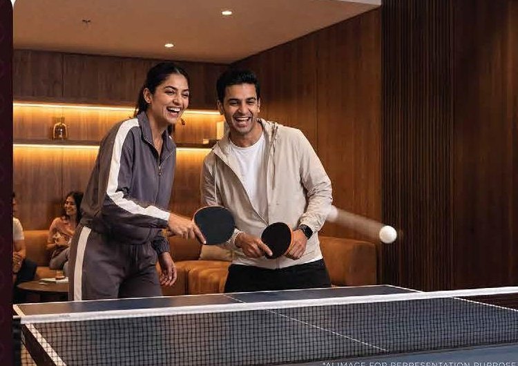 Indoor Sports Game Room